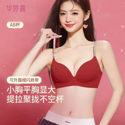 华婷露 无钢圈文胸女小胸显大内衣女中厚薄款性感美背全罩杯聚拢调整型