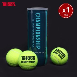 移动端：天龙 TOUR pound 网球高弹耐磨训练球比赛练习用球 4粒装24听