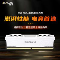 ZGJOLONG/疆珑 海力士CJRDJR颗粒 内存条
