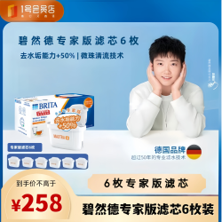 碧然德 家用滤水壶净水滤芯MAXTRA+LE去水垢专家版通用多效滤芯6枚装