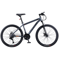  PHOENIX/凤凰 山地自行车 减震