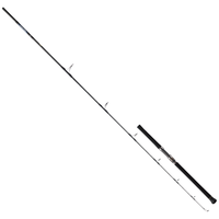 DAIWA/达亿瓦 远投 海钓竿