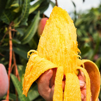  京喜加 小果味更浓 贵妃芒