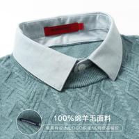博斯绅威 BOSSSUNWEN 春季推荐商务休闲亲肤透气几何绞花男式羊毛衫