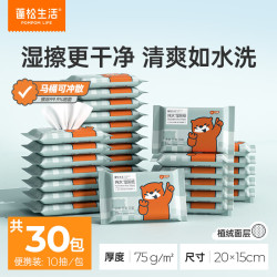 蓬松生活 可降解 湿厕纸巾