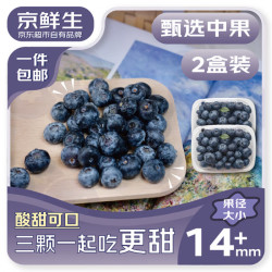 京鲜生 国产蓝莓 2盒装 约125g/盒 14mm+ 新鲜水果