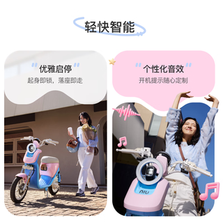 Niu Technologies 小牛电动 U1 one 电动自行车 48V24Ah锂电