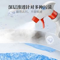  Kao/花王  除霉剂