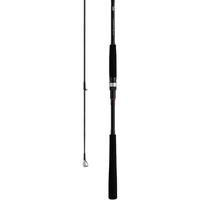 DAIWA/达亿瓦 远投 海钓竿