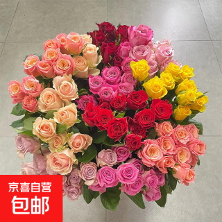 云南鲜花玫瑰花鲜切水养38妇女节女神节生日礼物 方德35-40cm随机玫瑰10支