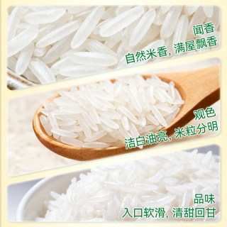  TAILIANG RICE/太粮 2025年新米 南方大米