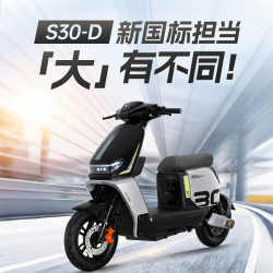绿源 S30D 豪华智能电动车 TDT25022Z