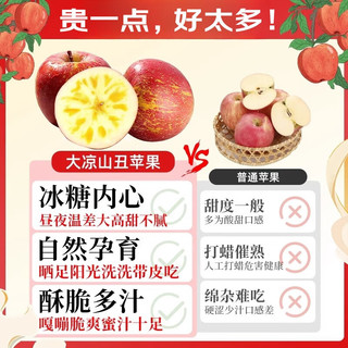  京地达 源头直发 丑苹果