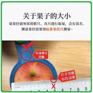  京地达 源头直发 丑苹果