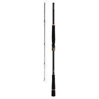 DAIWA/达亿瓦 远投 海鲈竿