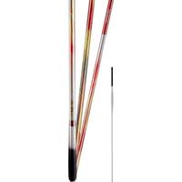 DAIWA/达亿瓦 野钓休闲 并继鲤竿