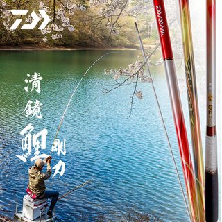  DAIWA/达亿瓦 野钓休闲 并继鲤竿
