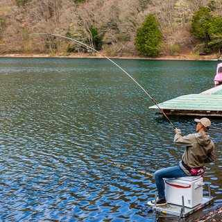  DAIWA/达亿瓦 野钓休闲 并继鲤竿