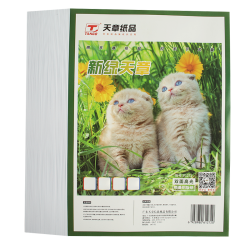 天章 双面高光 彩色喷墨铜版名片打印纸