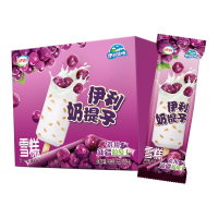 伊利 雪糕冰淇淋  伊利牧场奶提子6支装