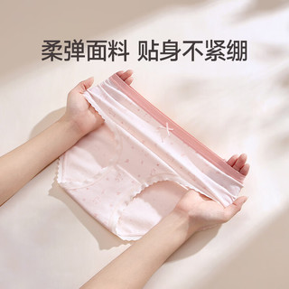  FENTENG/芬腾 抗菌 女士内裤