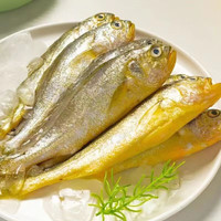 新鲜黄花鱼5斤