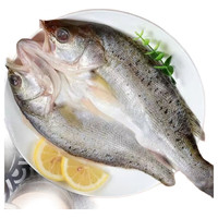 深海开背鲈鱼500克*1条