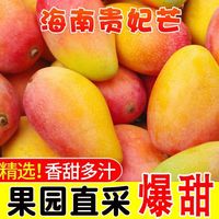  蔓蜜伽 薄皮 贵妃芒果