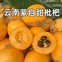  无品牌 新鲜 枇杷