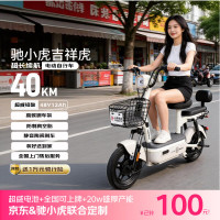 驰小虎 吉祥虎 电动自行车 48V12Ah