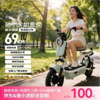驰小虎 如意虎 电动自行车 48V20Ah