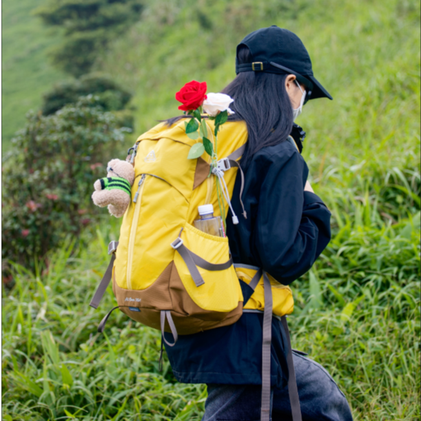 艾王 专业户外登山包 30升