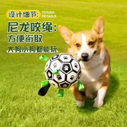 华元宠具 小狗玩具球耐咬自嗨解闷神器宠物金毛柯基消耗体力磨牙球狗狗足球