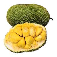  舅甜果蔬 现摘 榴莲蜜