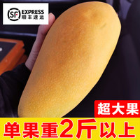  GUOLIANHUI/果恋汇 金煌芒