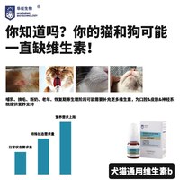 HUAZHENG BIOTECHNOLOGY/华征生物 补充口腔下巴毛发皮肤营养 宠物维生素B溶液
