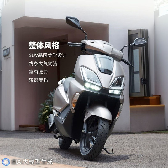 新大洲本田 NS125GU踏板摩托车燃油实用通勤 CBS版-灰黑