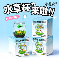 小花农 小清新种植 水培小对叶+小鱼+小黄鸭