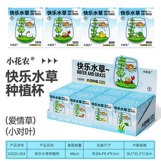  小花农 小清新种植 水培小对叶+小鱼+小黄鸭