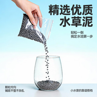  小花农 小清新种植 水培小对叶+小鱼+小黄鸭