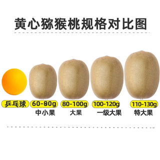  静益乐源 黄心猕猴桃
