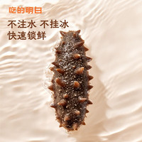 龙味福 即食海参 大连鲜食海参开袋即食单个装 深海精品海参辽刺生鲜礼盒 甄选鲜食海参 9-12头*1斤