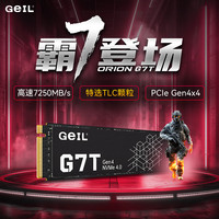 GeIL/金邦 高速 固态硬盘 1TB