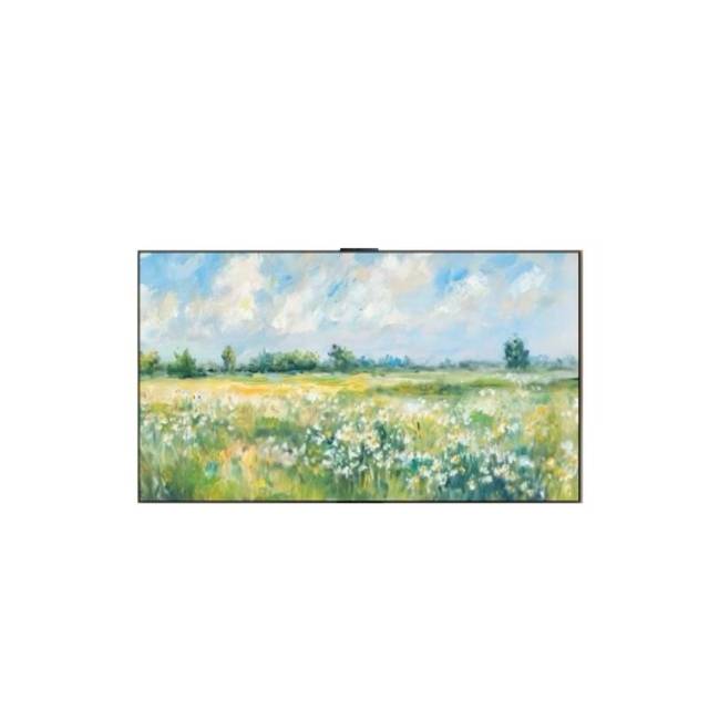 今日必买：华为 Vision 6系列 HD7XWATN 液晶电视 75英寸 4K