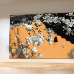 华为 Vision 6系列 HD7XWATN 液晶电视 75英寸 4K