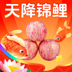 京鲜生 山东烟台红富士苹果 净重9斤 单果75-80mm