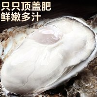 海仙部落 鲜活 生蚝