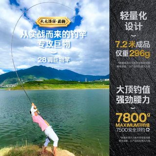  武汉天元 轻量巨物竿 钓鱼竿
