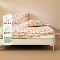  BLISS/百丽丝 纯棉 床笠