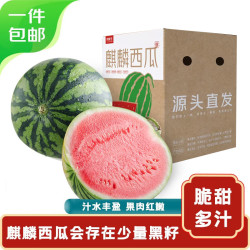 京鲜生 脆甜多汁！无籽麒麟西瓜 净重7-9斤（可搭配茉莉香葡萄、甜酸角等）